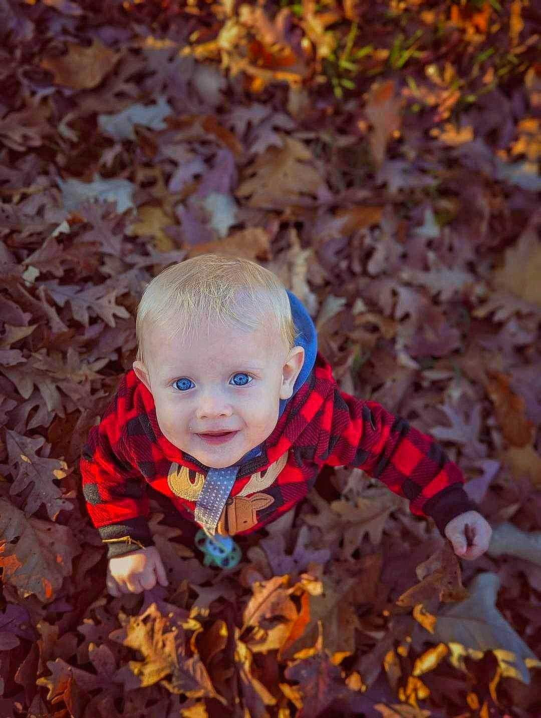 Journey joined the competition — help win amazing prizes! autumn, baby, baby_toddler_clothing, child, deciduous, fun, grass, happy, leaf, outerwear, people_in_nature, person, plant, sitting, smile, soil, toddler, tree, winter, wood