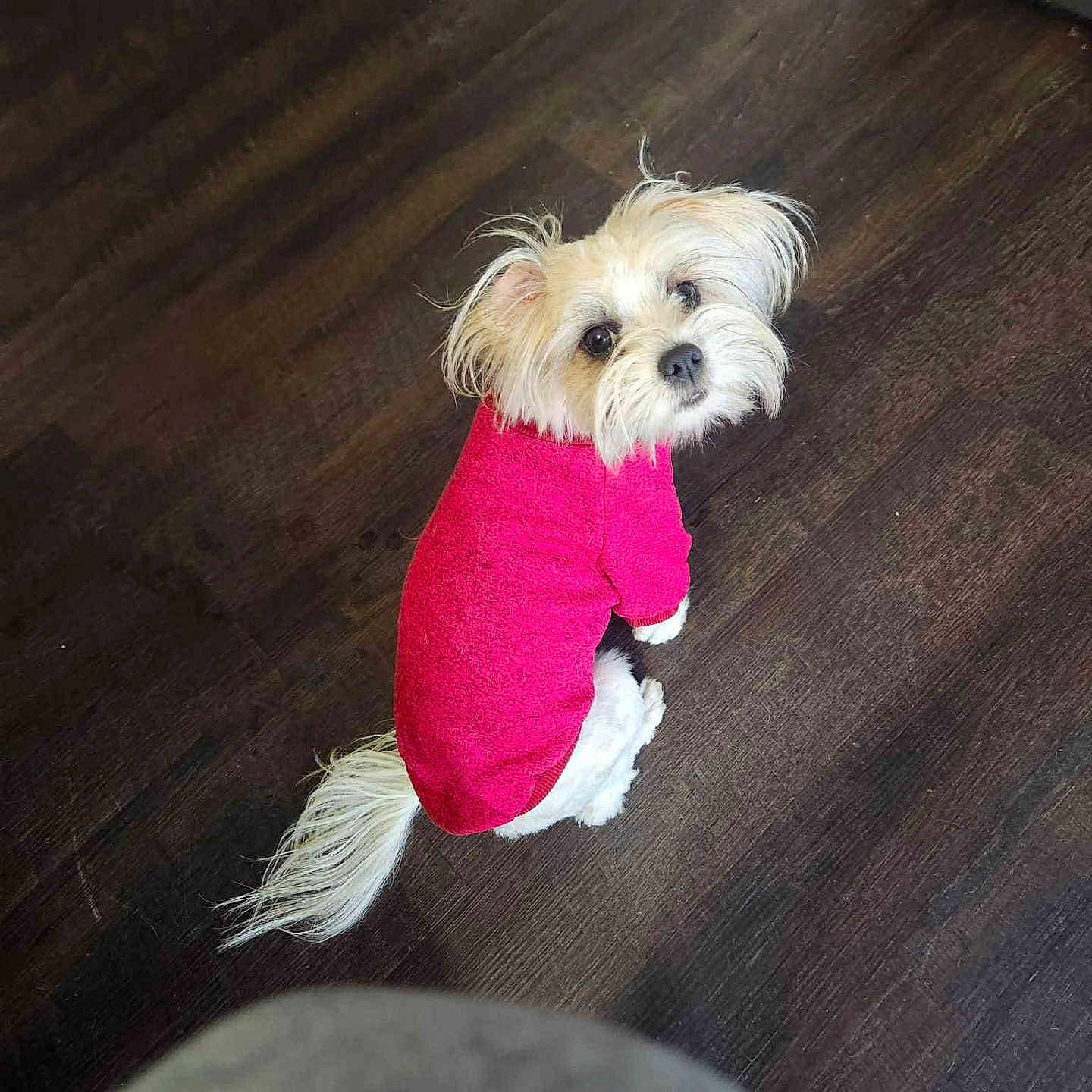 Roxy