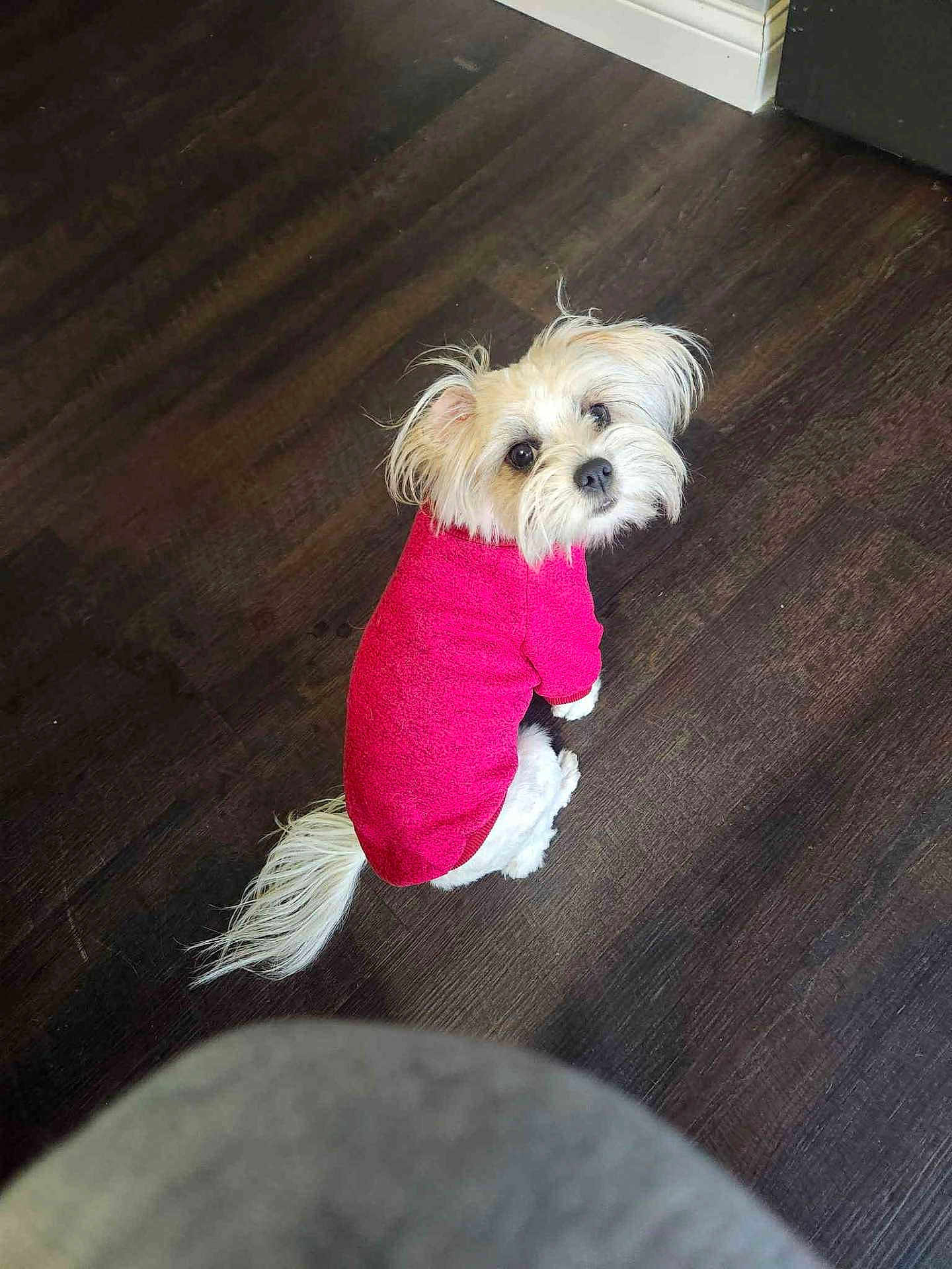 Roxy