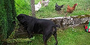 BOSCO participe au concours pour gagner de l'argent avec cette photo :