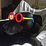 BOSCO participe au concours pour gagner de l'argent avec cette photo :