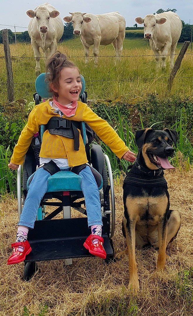 Charlie a rejoint le concours — aidez-le/la à gagner de superbes lots ! carnivore, companion_dog, dog, dog_breed, fawn, fence, grass, grassland, grazing, green, joy, landscape, mammal, people_in_nature, person, plant, prairie, recreation, sheep, smile