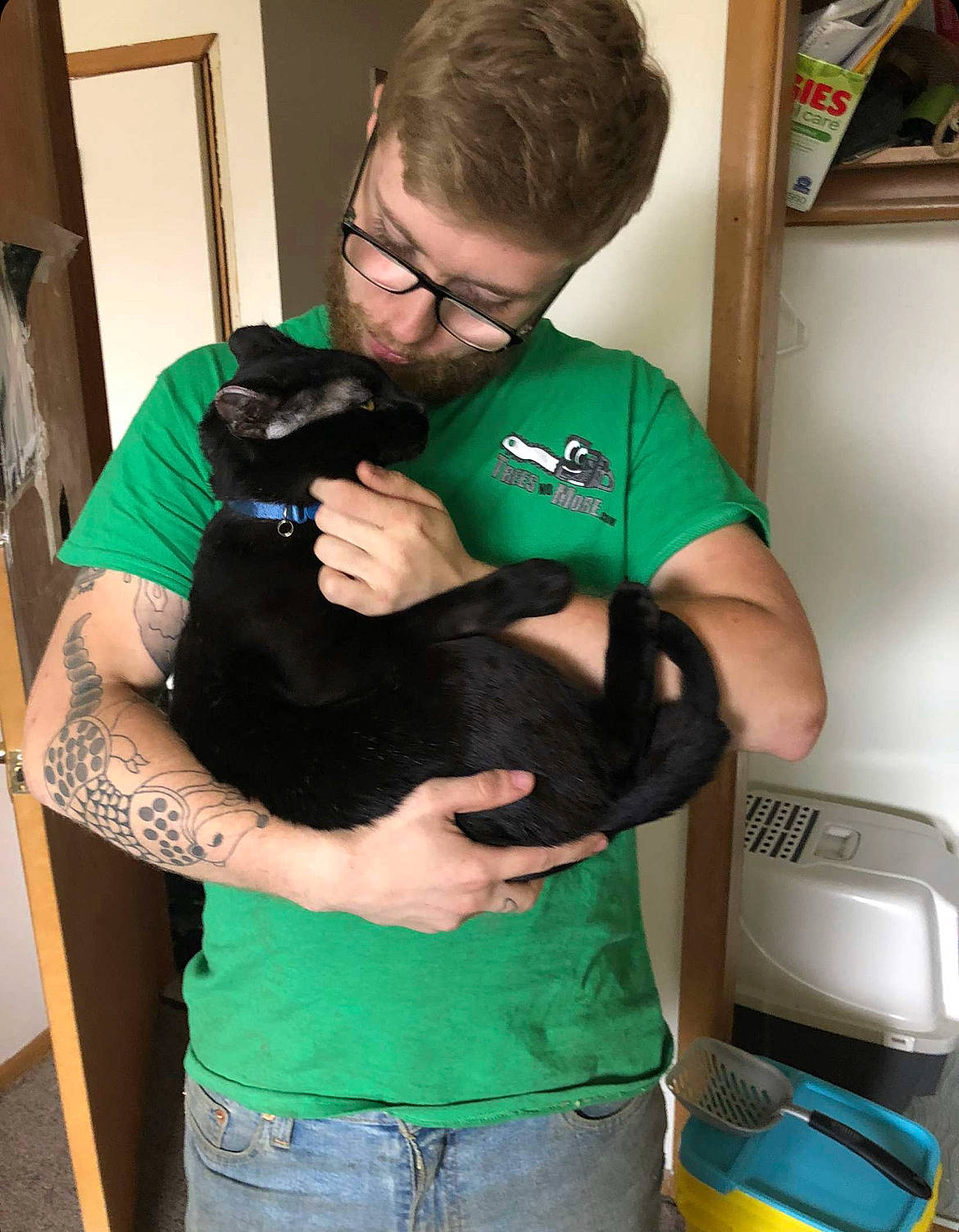 Toothless joined the competition — help win amazing prizes! beard, carnivore, cat, comfort, companion_dog, dog_breed, elbow, eyewear, felidae, fur, gadget, glasses, green, home_appliance, lap, room, shoulder, sitting, small_to_medium_sized_cats, t_shirt