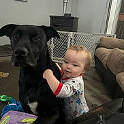 Cyclone joined the competition — help win amazing prizes! baby_gate, black_dog, carpet, child, childhood, cute, dog, domestic, floor, friendship, furniture, home, hugging, indoor, living_room, pajamas, pet, sofa, toddler, toy