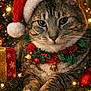 cat, tabby, santa_hat, christmas_lights, holiday, festive, bells, holly, collar, present, gift, ornament, pine_branches, red, green, decorations, close_up, portrait, animal, cute