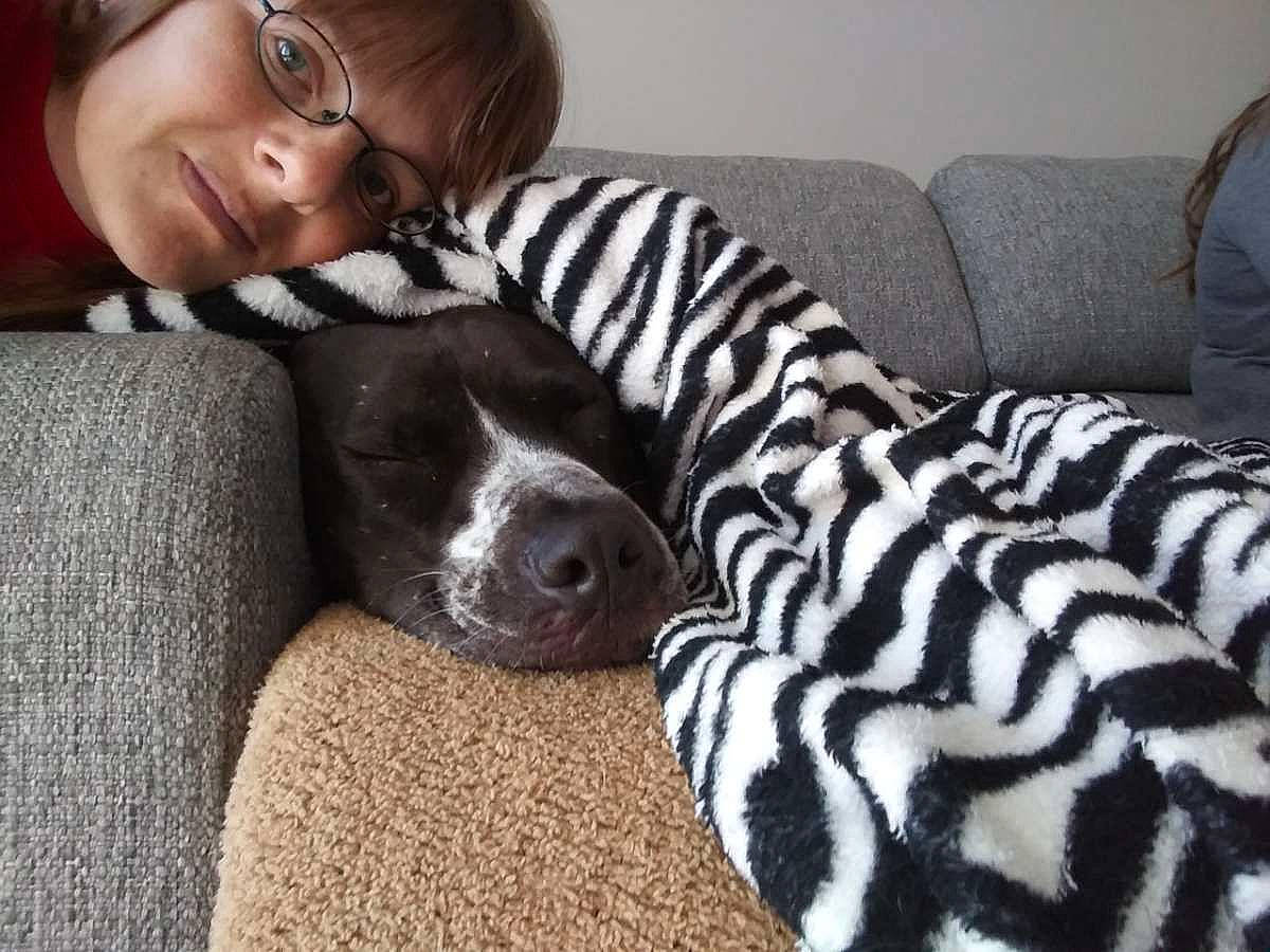 Ralph joined the competition — help win amazing prizes! canidae, carnivore, comfort, companion_dog, couch, dog, dog_breed, ear, fawn, fur, guard_dog, human_leg, mammal, sitting, smile, snout, sporting_group, terrestrial_animal, whiskers, working_animal