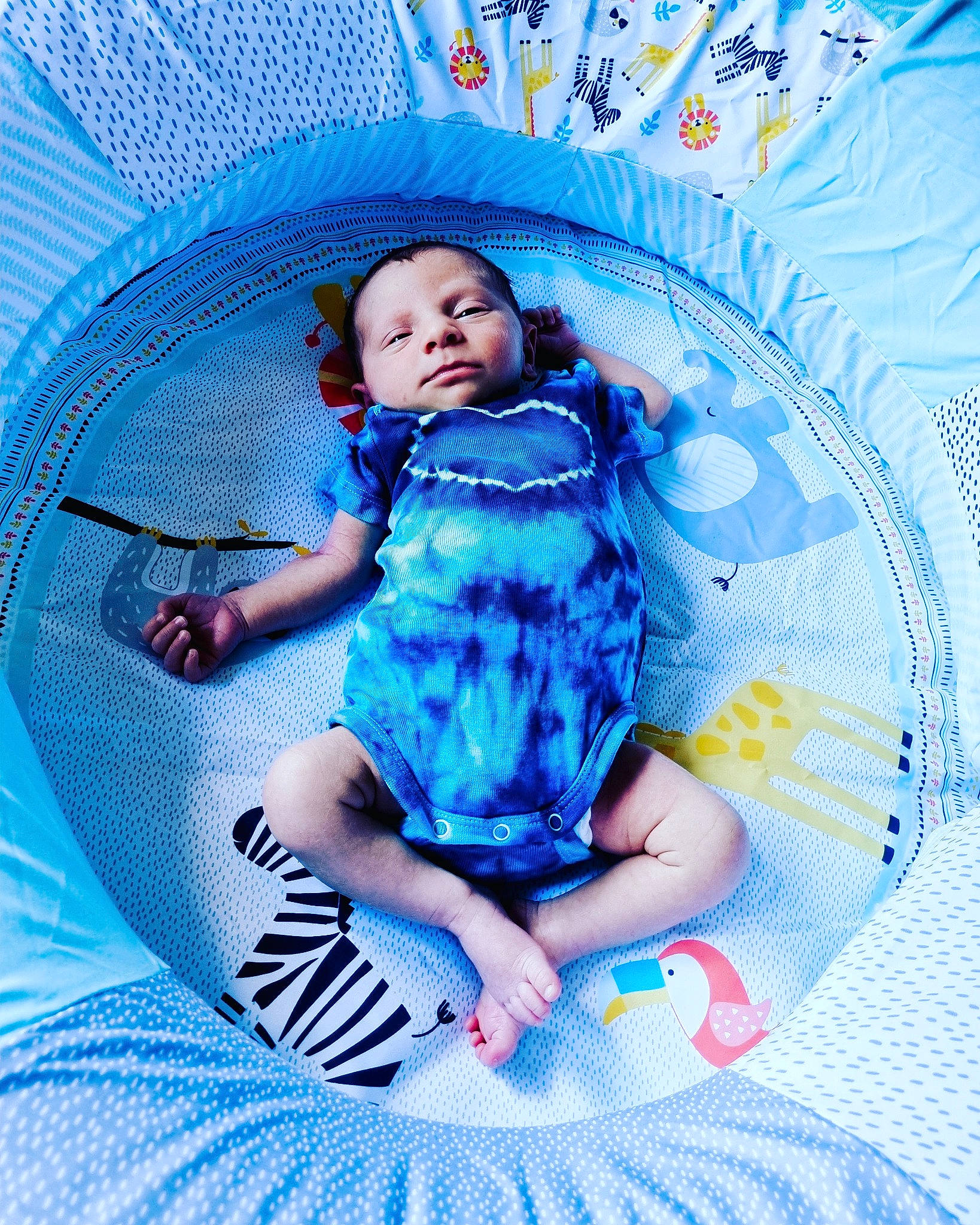 Jamie is registered to the contest to win money with this photo: aqua, azure, baby, baby_toddler_clothing, blue, chair, comfort, day_dress, dress, electric_blue, fun, happy, one_piece_garment, pattern, person, purple, sitting, sleeve, textile, toddler