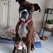 Douska a rejoint le concours — aidez-le/la à gagner de superbes lots !