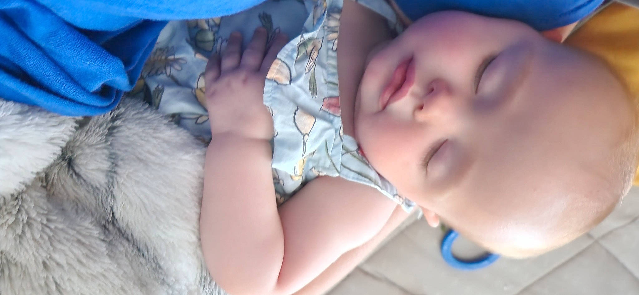 Hailey joined the competition — help win amazing prizes! baby, blue, child, comfort, cool, eyelash, eyewear, felidae, fun, gesture, happy, jaw, linens, mouth, neck, nose, person, skin, small_to_medium_sized_cats, textile