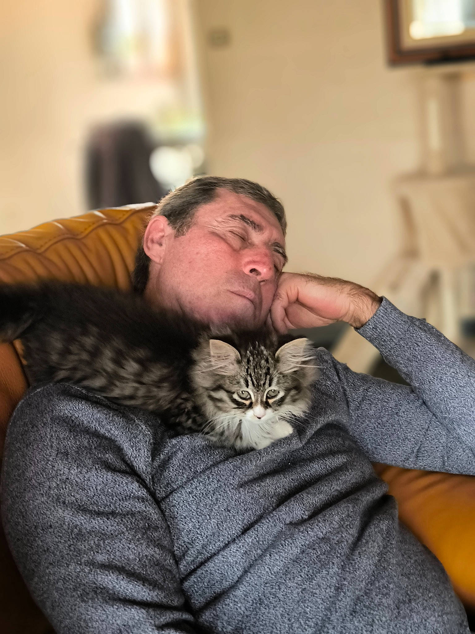 Ustone a rejoint le concours — aidez-le/la à gagner de superbes lots ! beard, carnivore, cat, comfort, companion_dog, couch, domestic_short_haired_cat, ear, facial_hair, felidae, fur, gesture, glasses, hug, lap, moustache, picture_frame, sitting, small_to_medium_sized_cats, whiskers