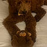 dog, puppy, brown_dog, curly_fur, fluffy, lying_down, bed, bedroom, teddy_bear, stuffed_animal, toy, paws, black_nose, dark_eyes, pet, indoors, cozy, cuddling, portrait, warm_lighting