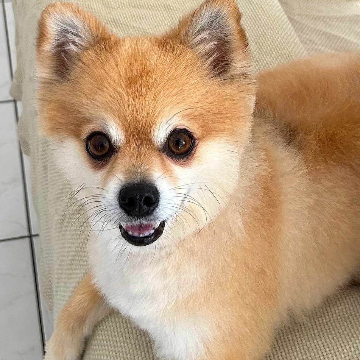 Tim