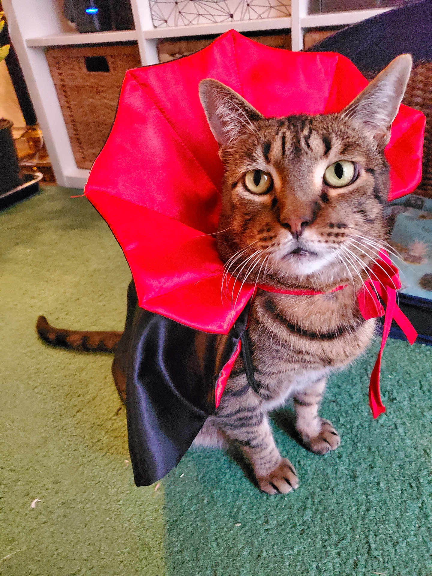 Mr Handsome