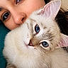 Bounty a rejoint le concours — aidez-le/la à gagner de superbes lots ! cat, kitten, person, face, portrait, blue_eyes, fluffy, fur, white_fur, pointed_ears, whiskers, nose, indoor, closeup, selfie, pet, animal, human, cuddling, adorable