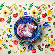 Ivet is registered to the contest to win money with this photo: baby, newborn, sleeping, bowl, blue_blanket, headband, white_clothing, paper_flowers, colorful, leaves, artistic, floral_arrangement, cute, peaceful, infant, decorative, background, soft, portrait, studio_photo