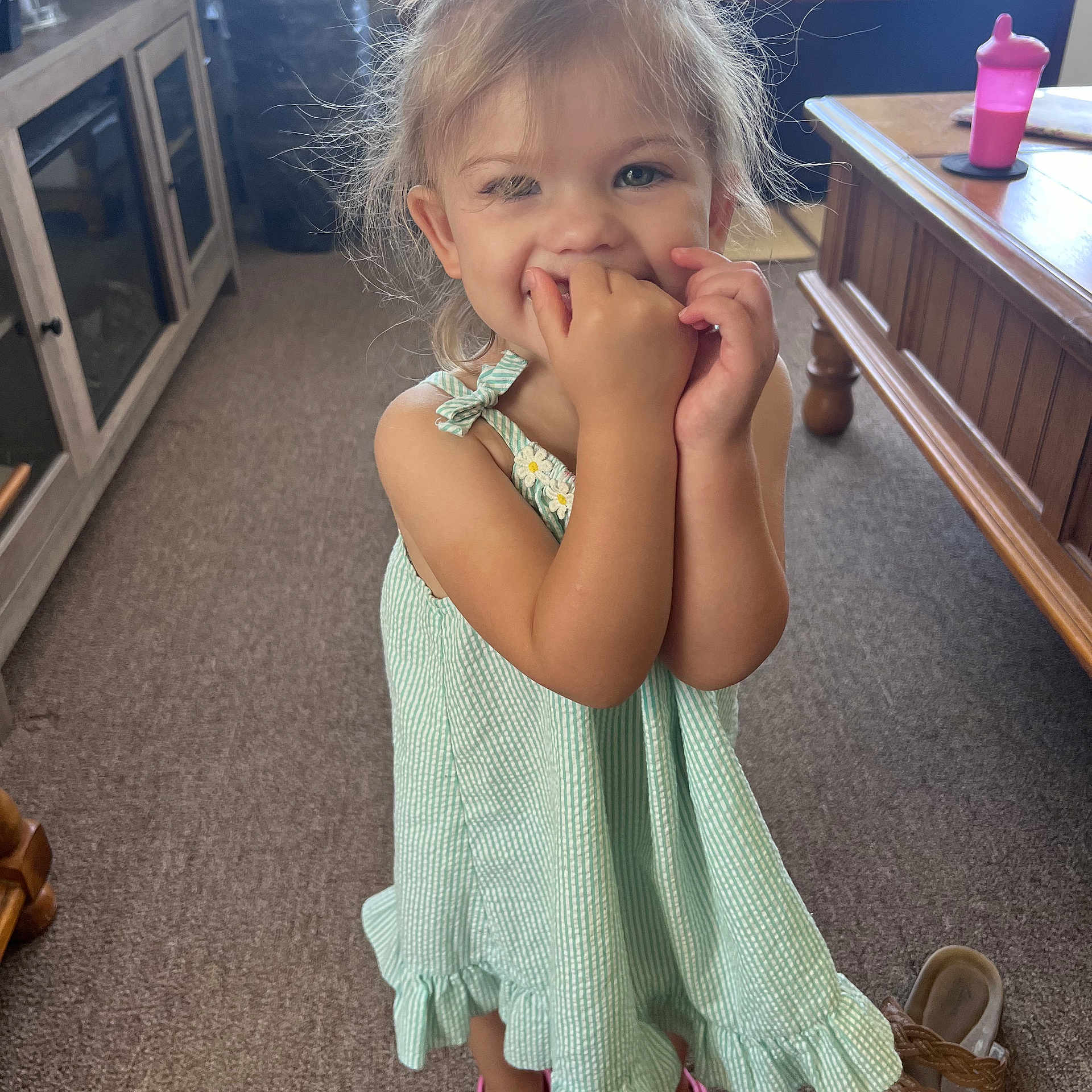 Echo joined the competition — help win amazing prizes! child, girl, toddler, portrait, smiling, happy, indoors, dress, green_dress, pink_shoes, sippy_cup, furniture, table, carpet, living_room, playful, blonde_hair, hair_bun, standing, family_photo