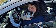 Pepe La Pew joined the competition — help win amazing prizes! woman, cat, kitten, car, inside_car, smiling, holding, seatbelt, steering_wheel, daylight, outdoor, parking_lot, trees, blue_sky, casual_clothing, happy, pet, animal, human, window
