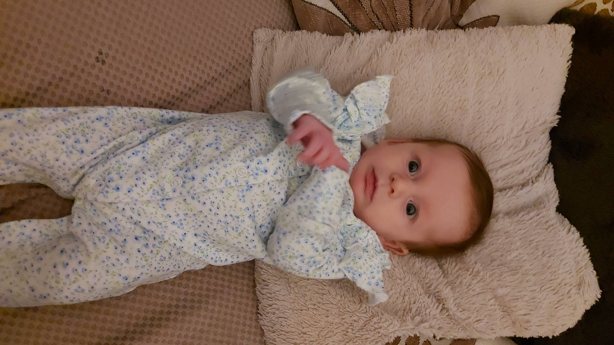 Beau joined the competition — help win amazing prizes! baby, baby_toddler_clothing, child, comfort, couch, eye, flooring, iris, linens, pattern, person, room, skin, sleeve, toddler, wood