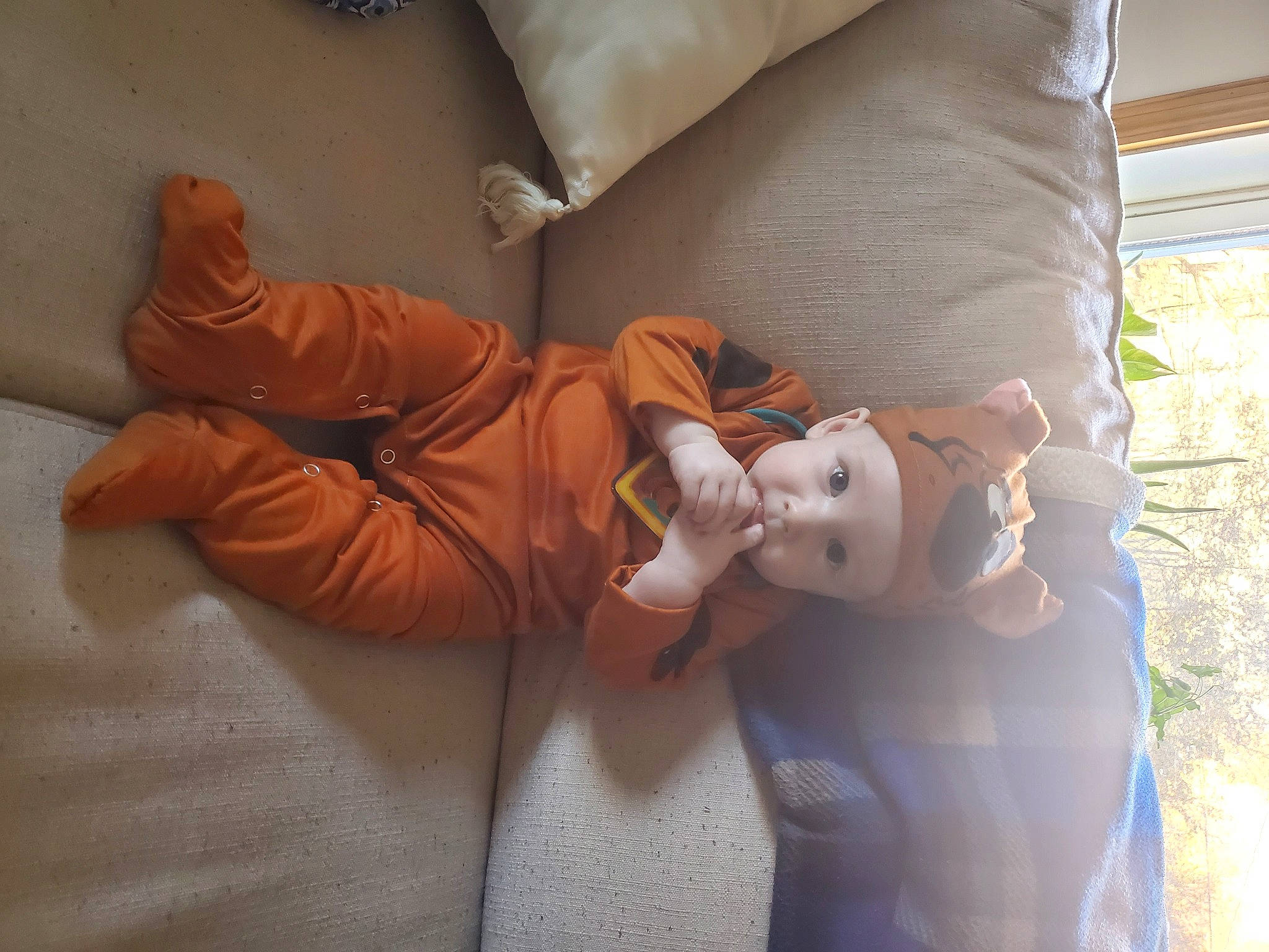 Hudson is registered to the contest to win money with this photo: baby, child, comfort, doll, finger, fur, headwear, human_leg, joint, knee, linens, person, pillow, plant, room, sitting, sleeve, stuffed_toy, textile, toy