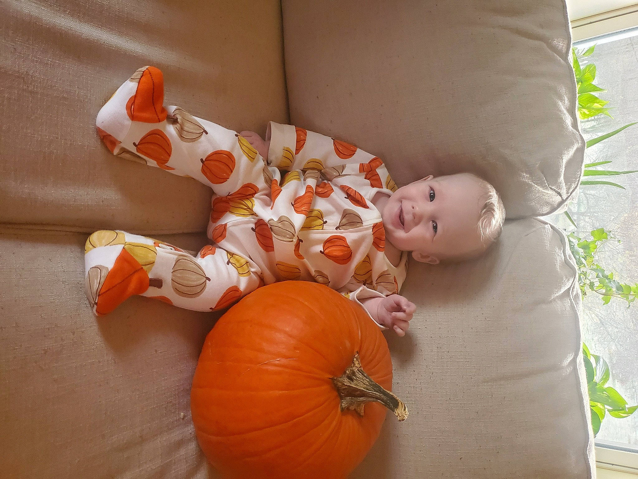 Hudson is registered to the contest to win money with this photo: baby, baby_toddler_clothing, calabaza, child, comfort, couch, cucurbita, fruit, gourd, human_body, joy, natural_foods, orange, person, plant, produce, pumpkin, squash, toddler, toy