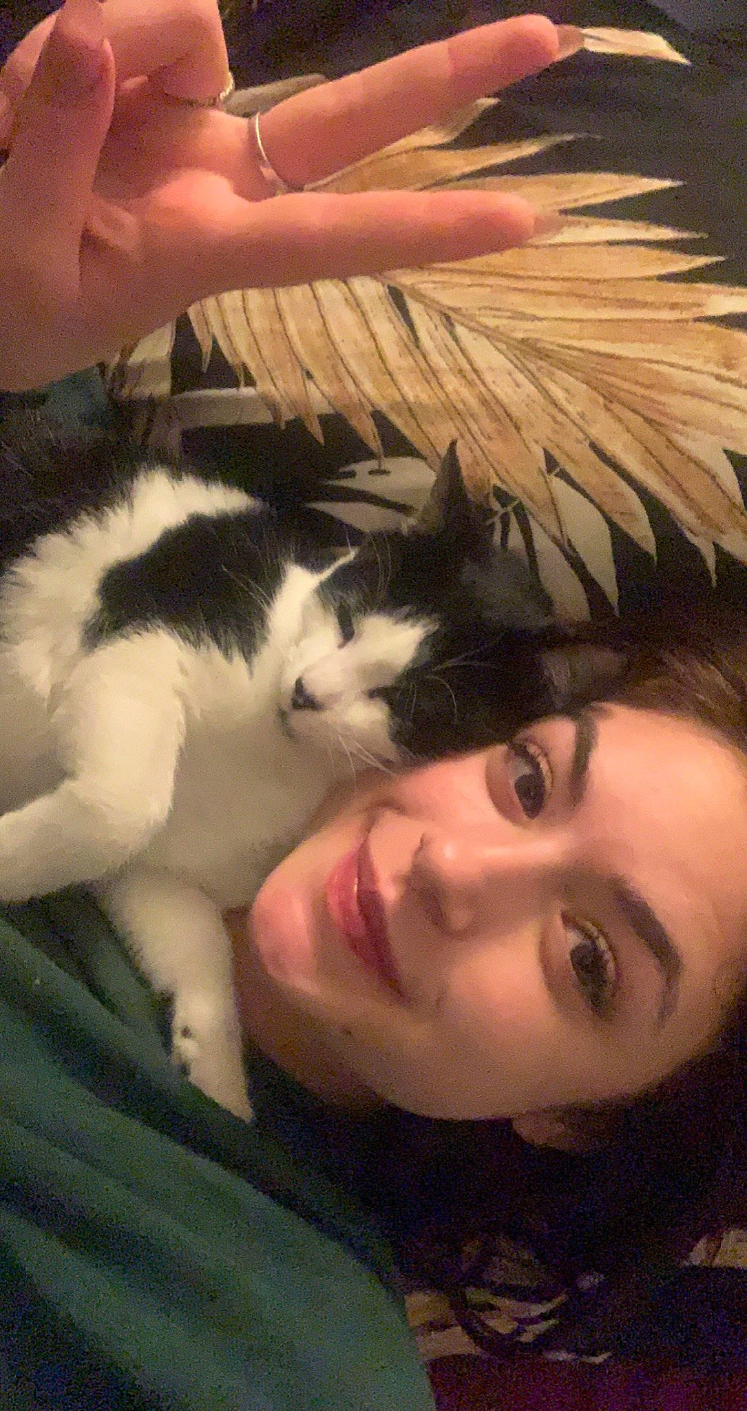 Pichù a rejoint le concours — aidez-le/la à gagner de superbes lots ! black_hair, carnivore, cat, comfort, cool, eye, eyelash, felidae, gesture, hand, happy, jaw, lap, long_hair, nose, organ, selfie, small_to_medium_sized_cats, smile, whiskers