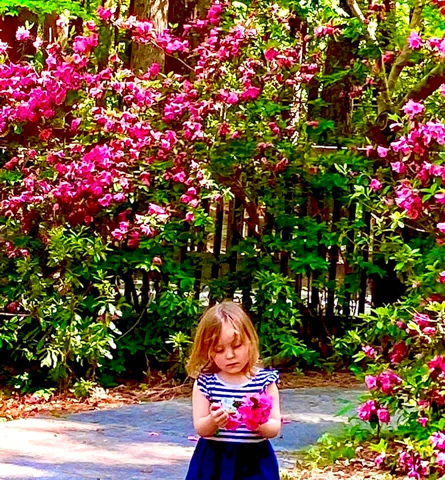 Lillian is registered to the contest to win money with this photo: annual_plant, botany, branch, flower, flowering_plant, grass, groundcover, leaf, magenta, people_in_nature, person, petal, pink, plant, purple, shrub, summer, terrestrial_plant, tints_and_shades, tree