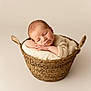 baby, sleeping, basket, blanket, cozy, infant, soft, cute, resting, peaceful, newborn, knitwear, hands, head, portrait, warm, homedecor, natural, skin, closeup