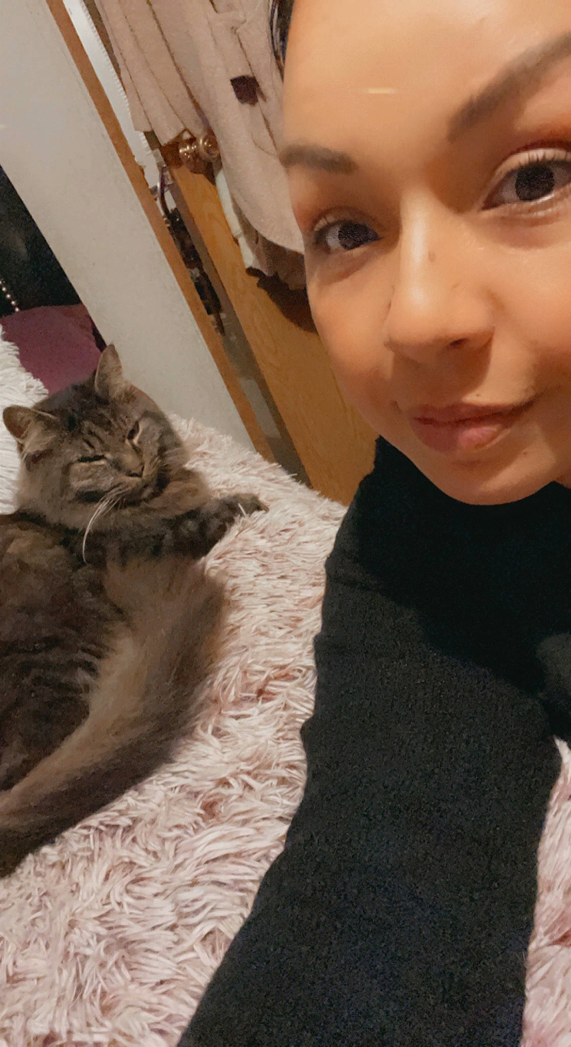 Señor Enojon joined the competition — help win amazing prizes! carnivore, cat, comfort, domestic_short_haired_cat, eye, eyebrow, eyelash, fawn, felidae, flooring, fur, happy, nose, paw, selfie, skin, small_to_medium_sized_cats, tail, toddler, whiskers