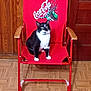 cat, tuxedo_cat, chair, red_chair, coca_cola_logo, indoor, wooden_floor, wood_paneling, pet, animal, feline, sitting, black_and_white, domestic_cat, furniture, household, curious, relaxed, collar, door
