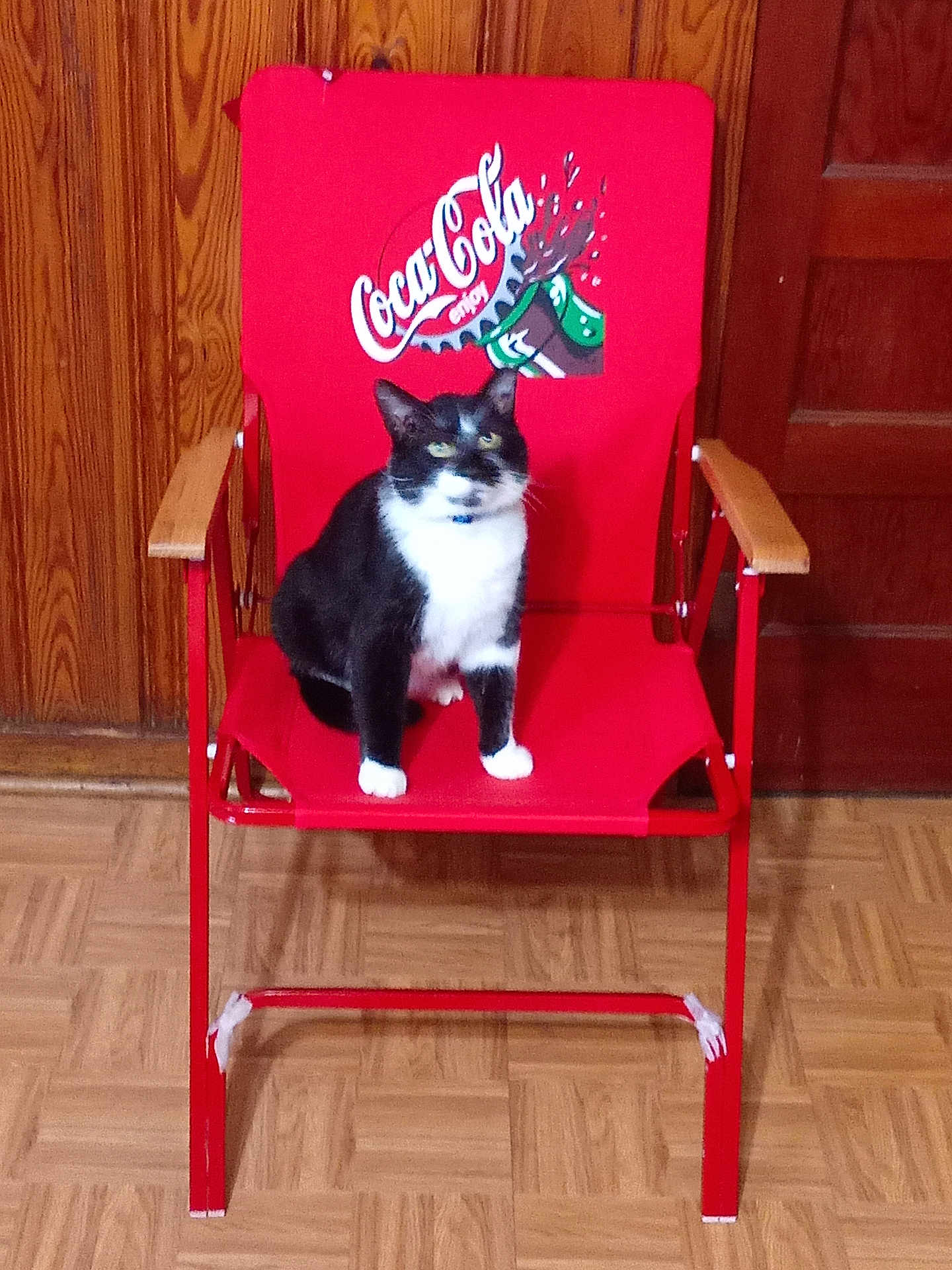 Marvin joined the competition — help win amazing prizes! cat, tuxedo_cat, chair, red_chair, coca_cola_logo, indoor, wooden_floor, wood_paneling, pet, animal, feline, sitting, black_and_white, domestic_cat, furniture, household, curious, relaxed, collar, door