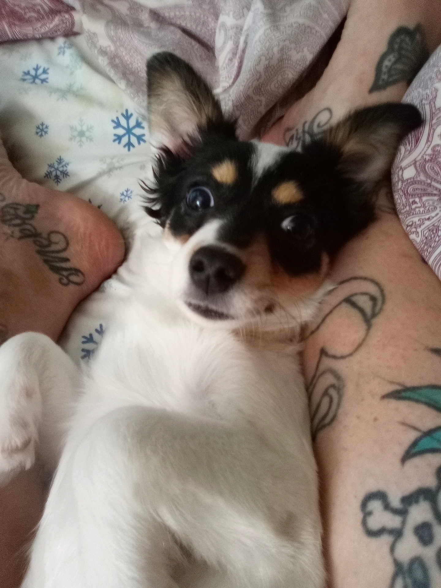 Lola