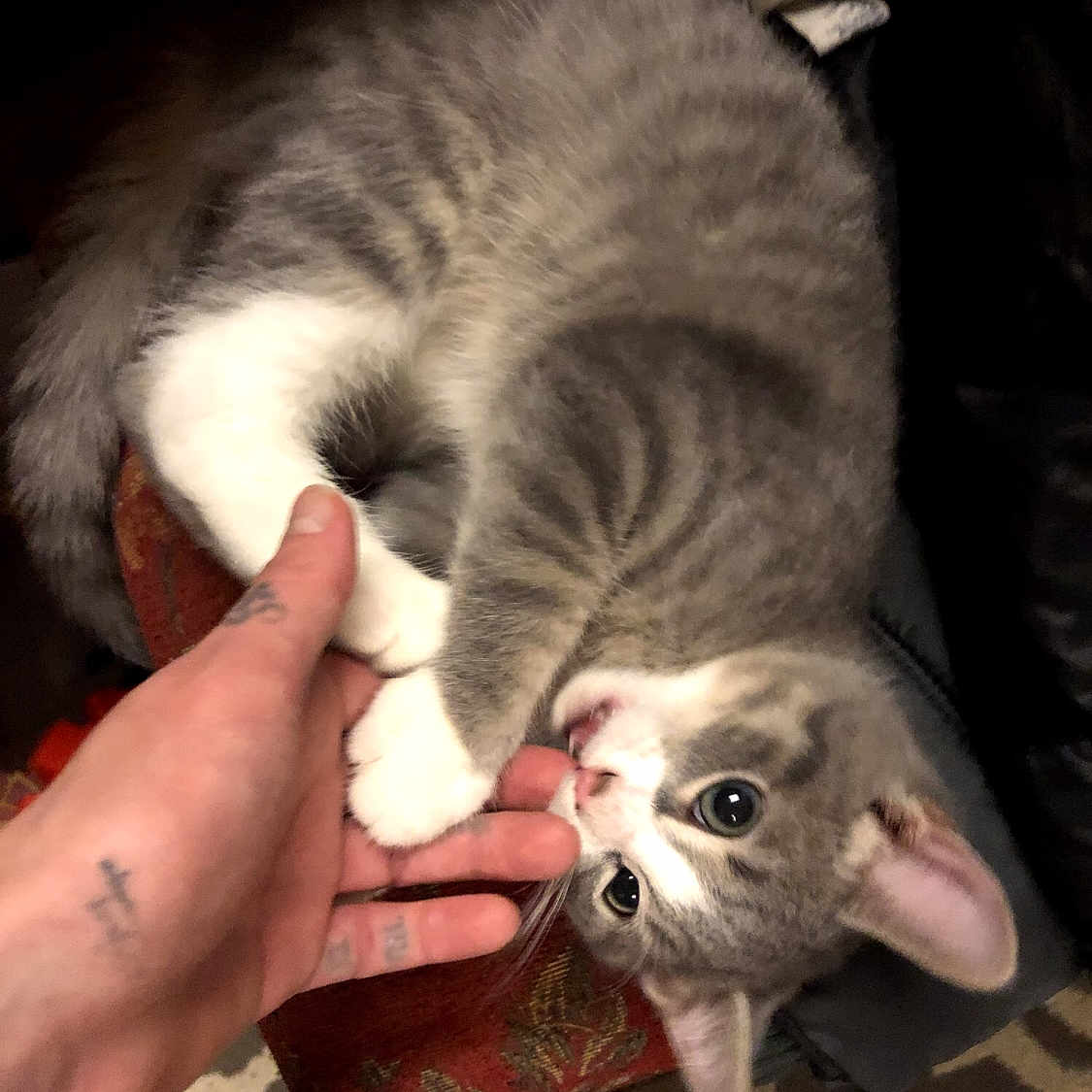 Tom