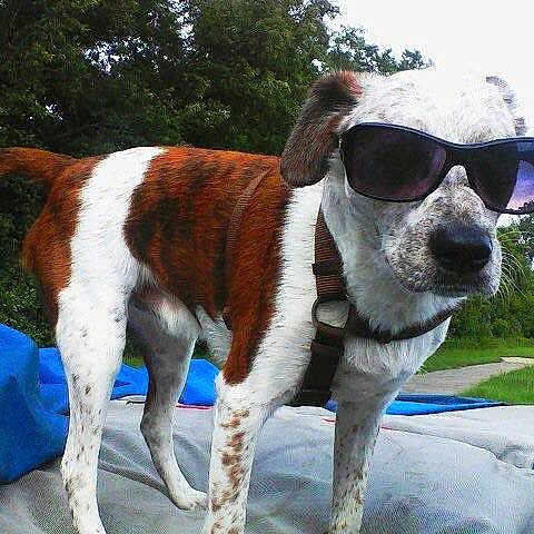 Milo