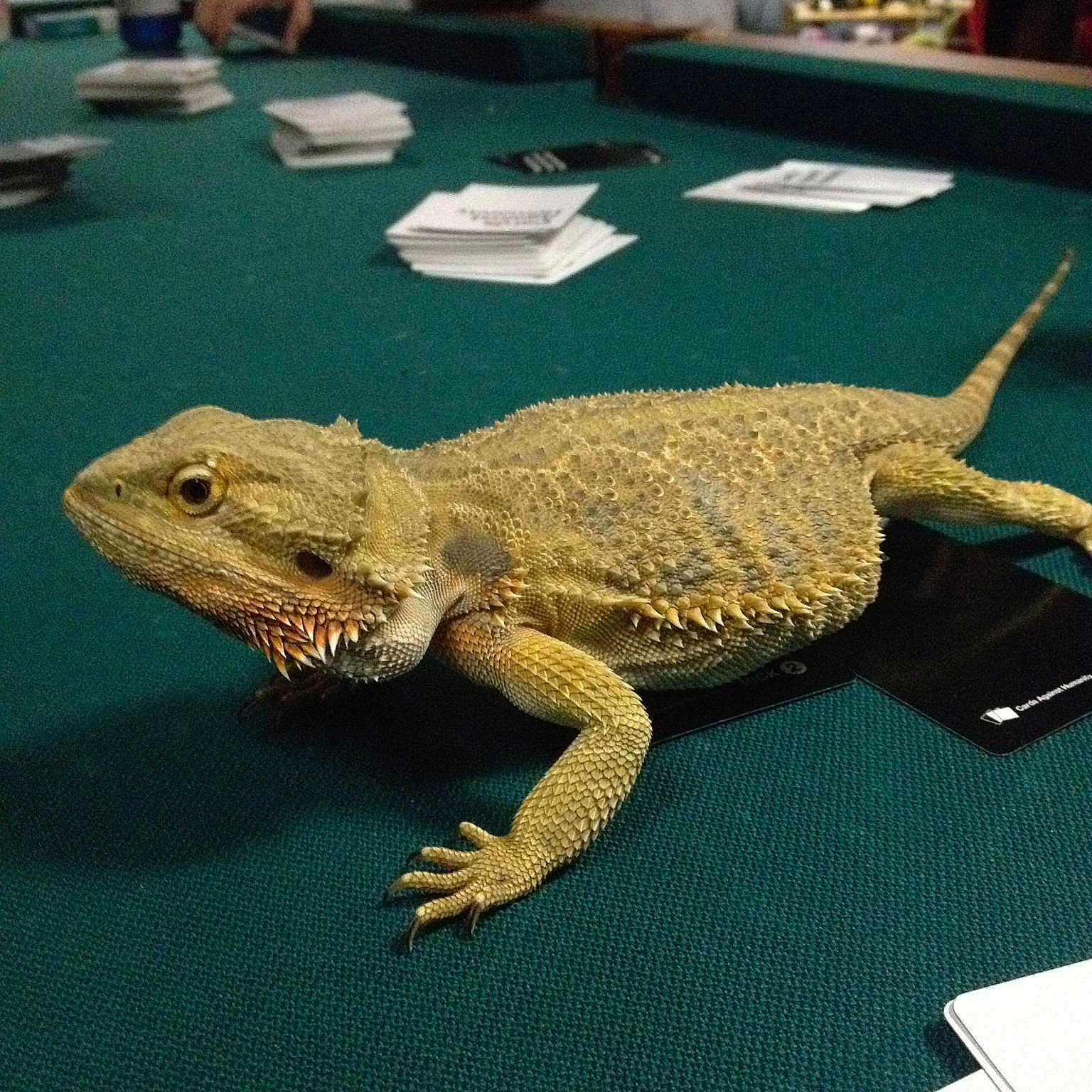 Regi
