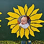 Harri joined the competition — help win amazing prizes! baby, child, sunflower, painted_board, outdoor, grass, jeans, sandals, blue_sky, clouds, person, nature, yellow, green, face, head, bib, striped_clothing, daytime, portrait