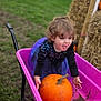 child, pumpkin, wheelbarrow, purple_dress, outdoor, grass, hay_bales, tongue_out, playful, curly_hair, autumn, dirt, muddy_hands, fall, toy, fun, person, smiling, nature, seasonal