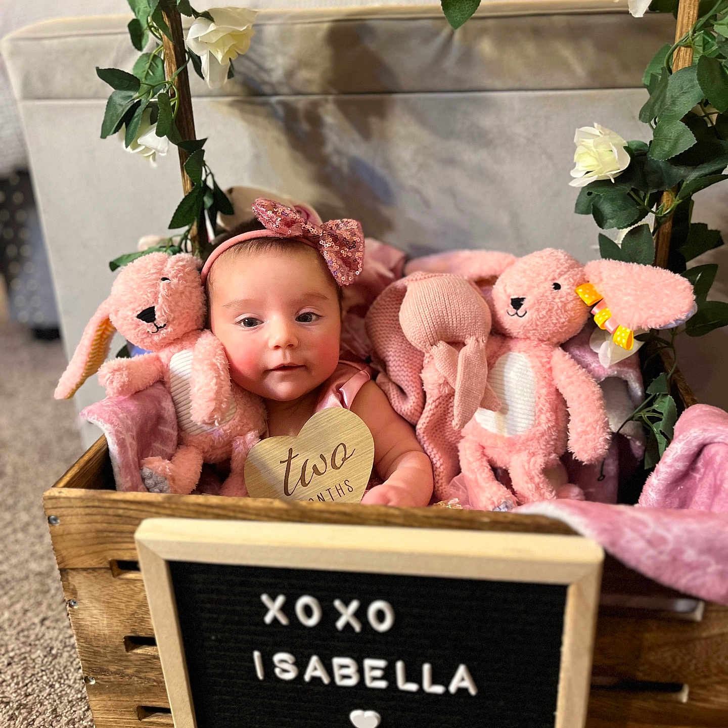 Isabella is registered to the contest to win money with this photo: baby, basket, box, clothing, costume, crate, face, flower, head, newborn, person, photoframe, photography, plant, plush, portrait, pottedplant, rose, teddybear, toy