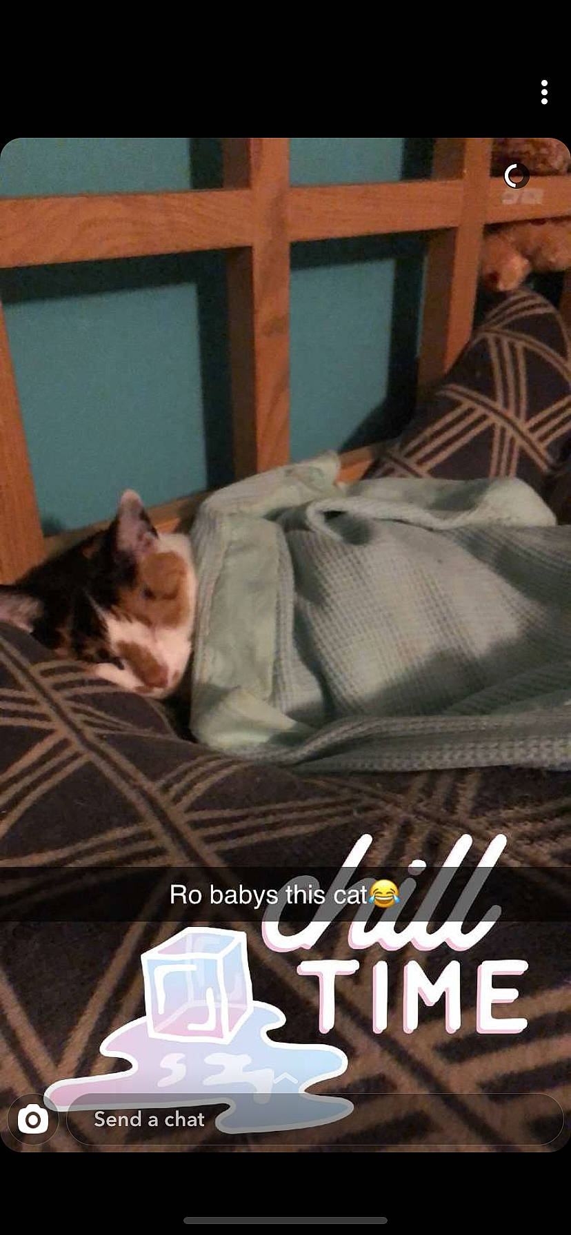 Teenie is registered to the contest to win money with this photo: bed, bedtime, cat, comfort, couch, felidae, furniture, nap, photo_caption, photography, room, sleep, square, whiskers