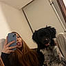 woman, dog, mirror_selfie, black_and_white_dog, long_hair, tongue_out, smiling, indoor, bedroom, blanket, bed, mirror, smartphone, portrait, pet, companion, seated, cozy, wooden_frame, open_door