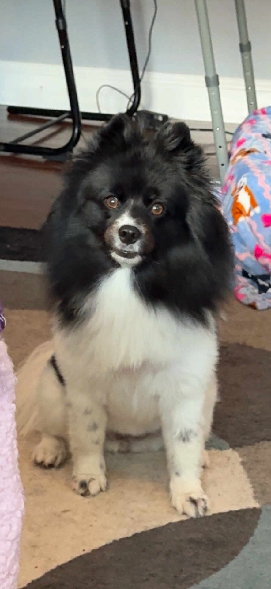 Mia