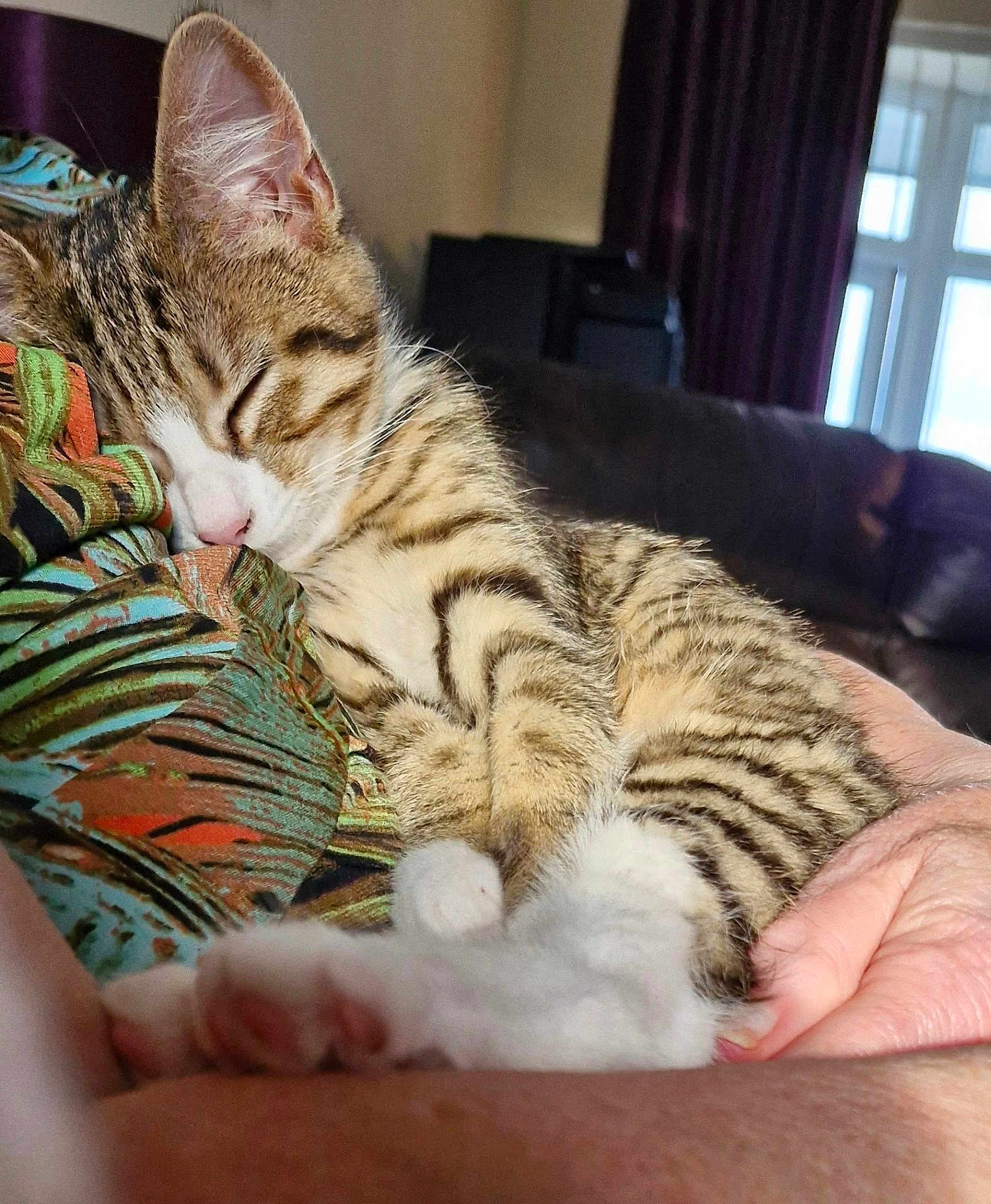 Mia
