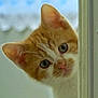 Alfie joined the competition — help win amazing prizes!
