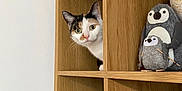 Connie joined the competition — help win amazing prizes! cat, calico_cat, wooden_shelf, plush_toy, penguin, decor, ceramic_reindeer, curious, indoor, home, cubby, furniture, animal, pet, cute, looking, peeking, holiday_decor, soft_toys, face