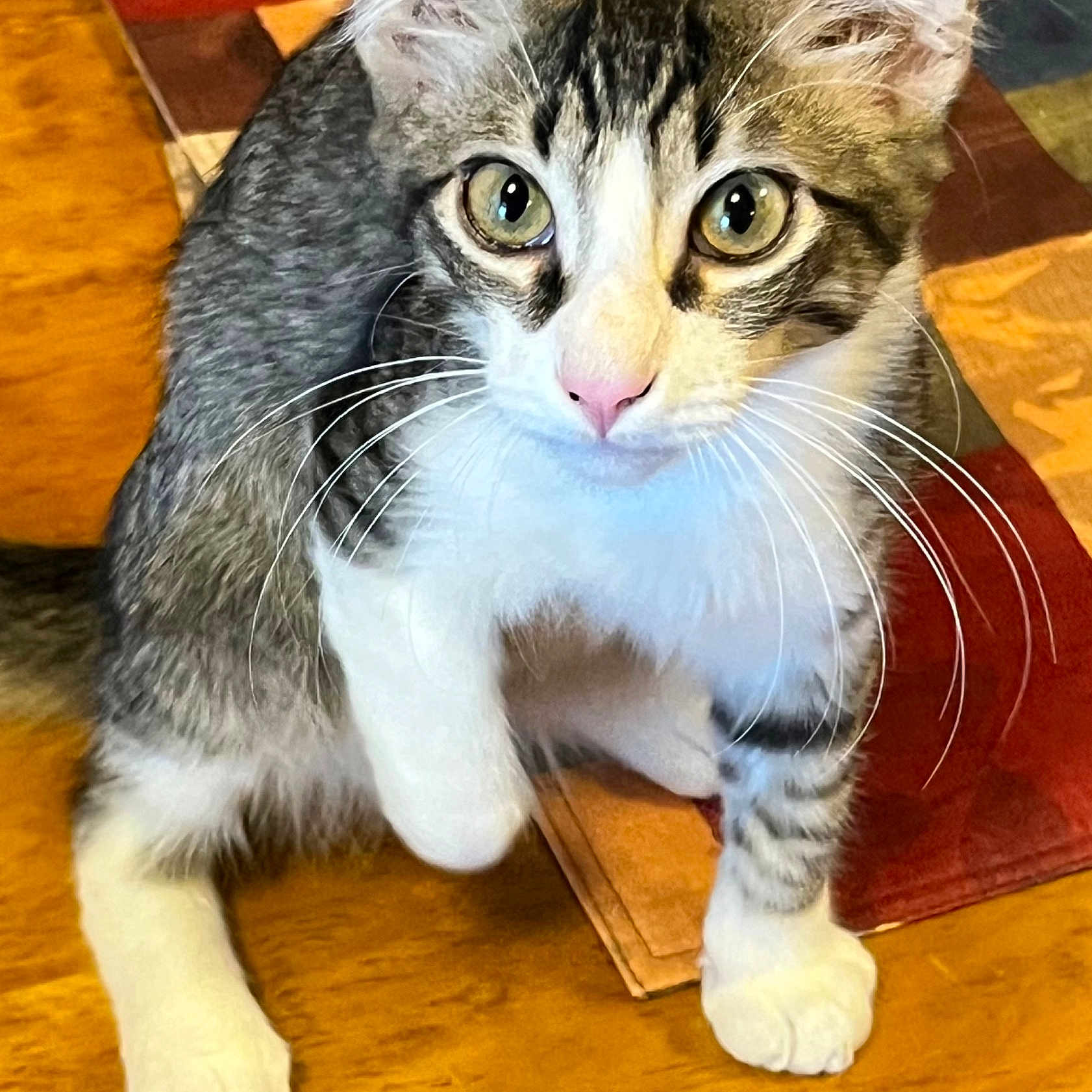 Mia