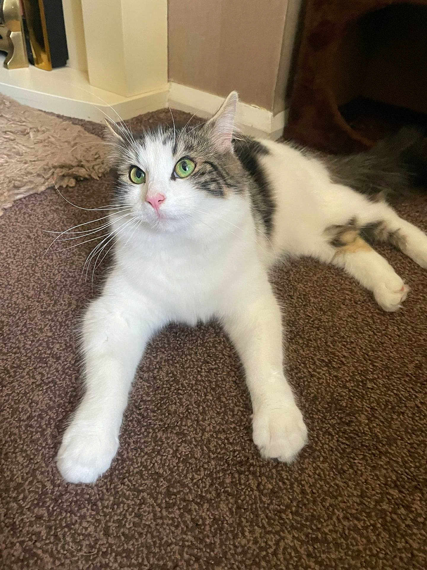 Loki