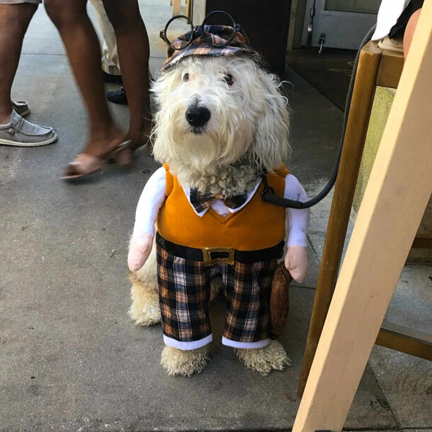 Tucker