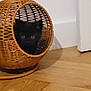 animal, basket, black_cat, corner, cozy, curious, cute, domestic_cat, eyes, furniture, home, indoor, kitten, pet, quiet, resting, shadow, small, wicker, wood_floor