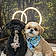 Snoopy Et Milou
