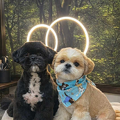 Snoopy Et Milou