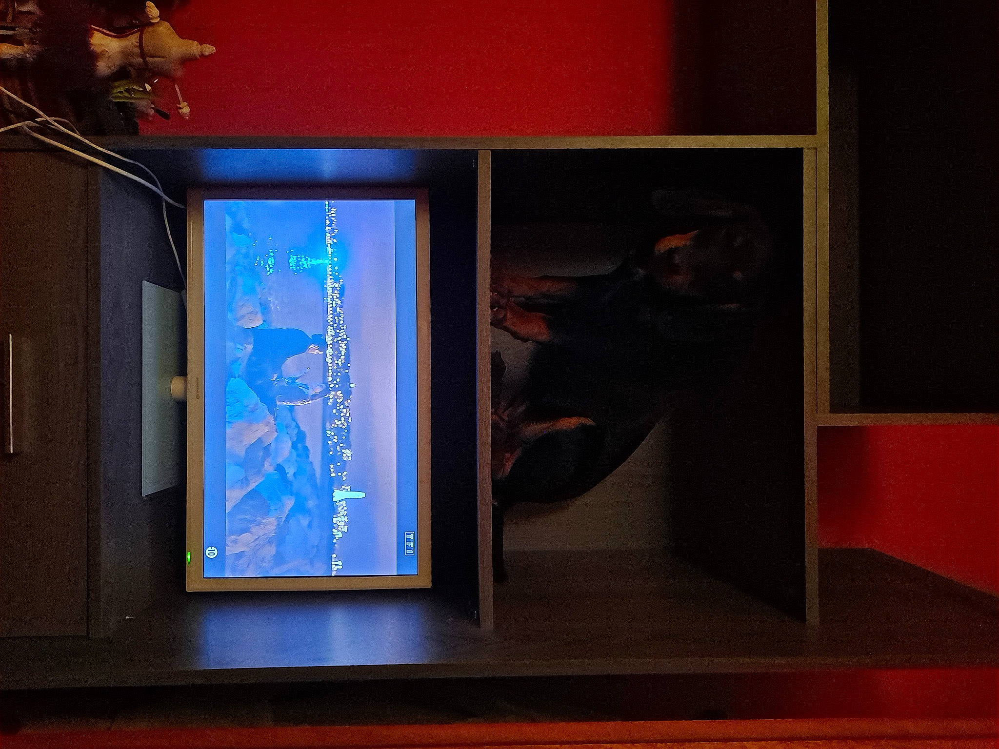 Siska a rejoint le concours — aidez-le/la à gagner de superbes lots ! art, darkness, display_device, electric_blue, event, flat_panel_display, flooring, glass, hardwood, houseplant, led_backlit_lcd_display, multimedia, picture_frame, projection_screen, room, space, television, television_set, visual_arts, wood